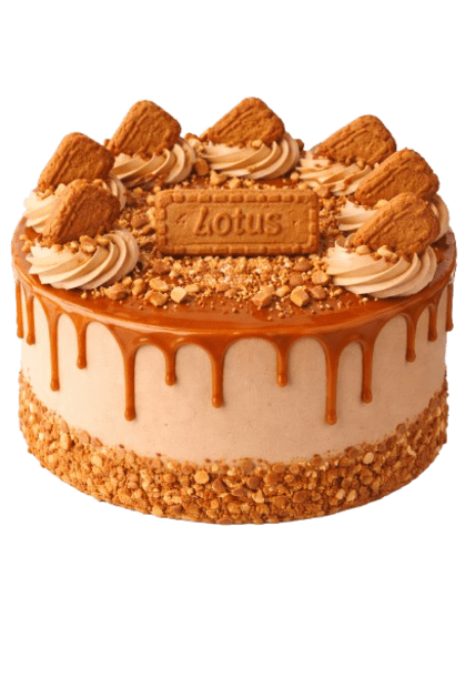 Special Flavours Cake Lotus Biscoff